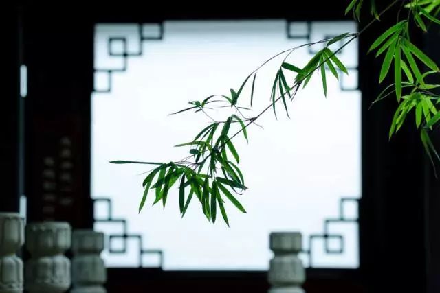 失去自由身加镣铐的电影_镣铐加身失去自由_失去自由的可怕
