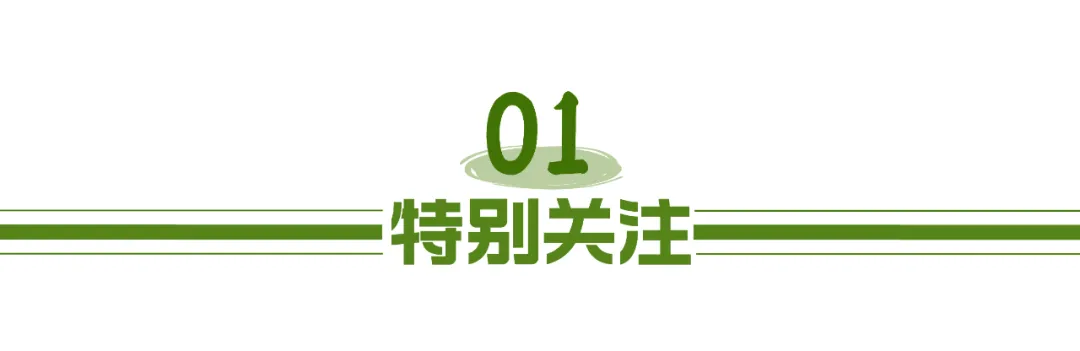 成都市城市档案馆_成都市档案局_档案是sss的都市小说