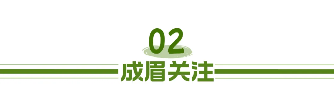 档案是sss的都市小说_成都市档案局_成都市城市档案馆
