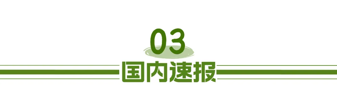 档案是sss的都市小说_成都市档案局_成都市城市档案馆