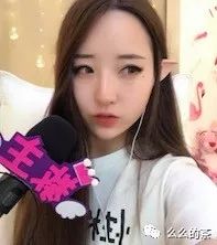 茶花叶子干枯一碰就掉怎么补救_么么茶_茶救星球
