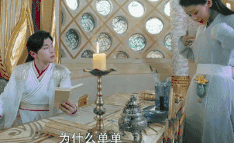 么么茶_茶救星球_茶花叶子干枯一碰就掉怎么补救