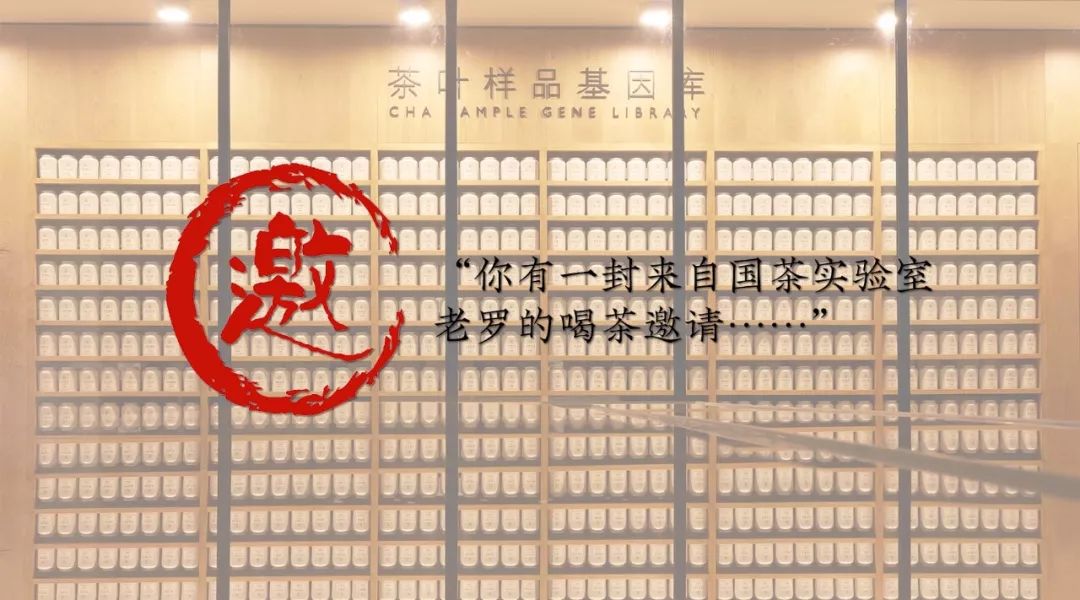 茶醉桃溪_么么茶_茶桌图片大全及价格