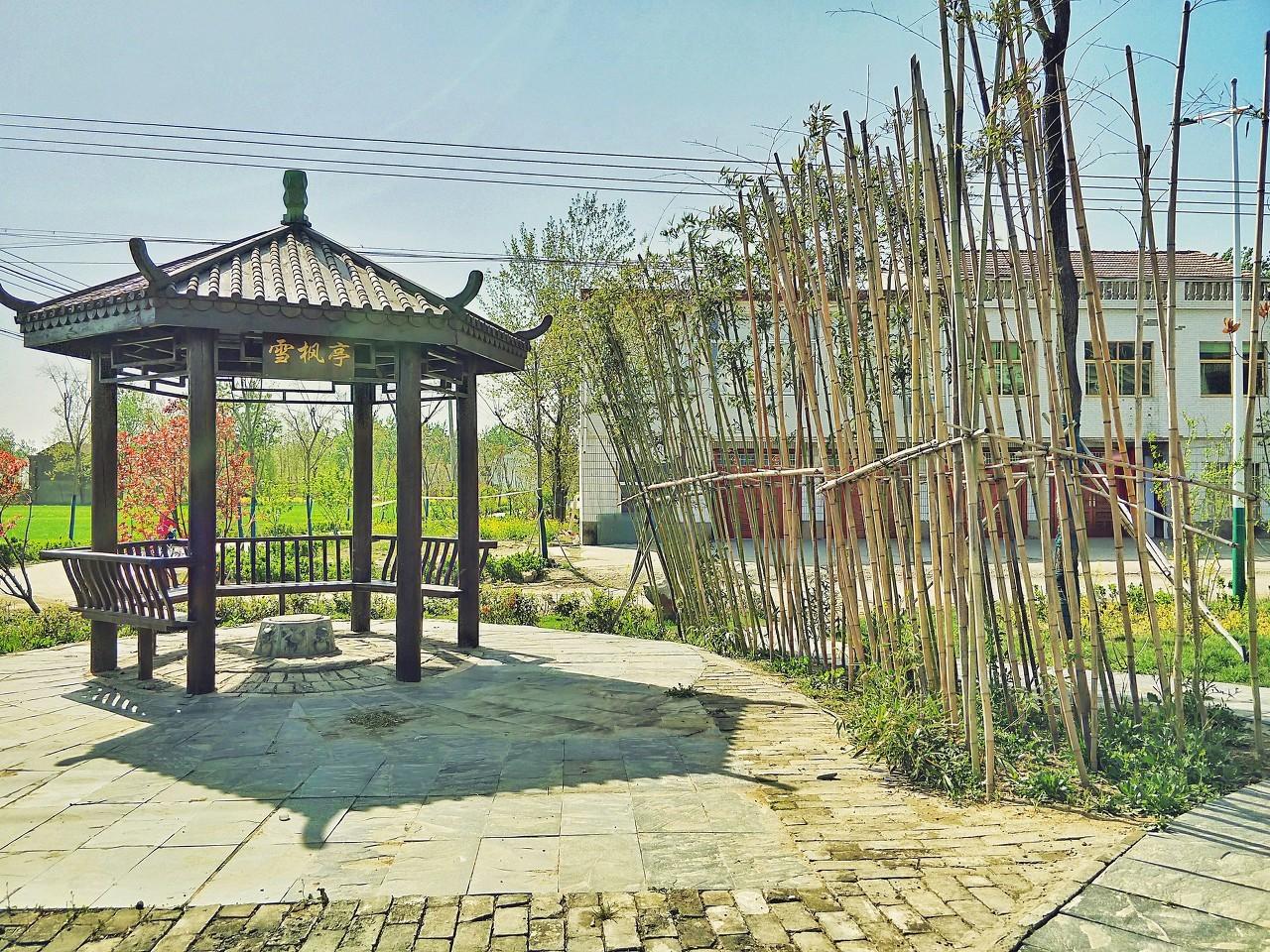 佐怎么读_佐读什么_佐读什么拼音