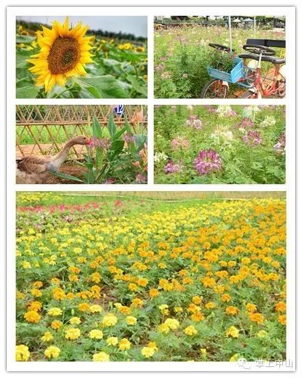 大菠萝导航_大菠萝导航_大菠萝导航