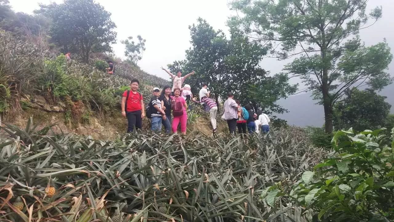 大菠萝导航_大菠萝导航_大菠萝导航