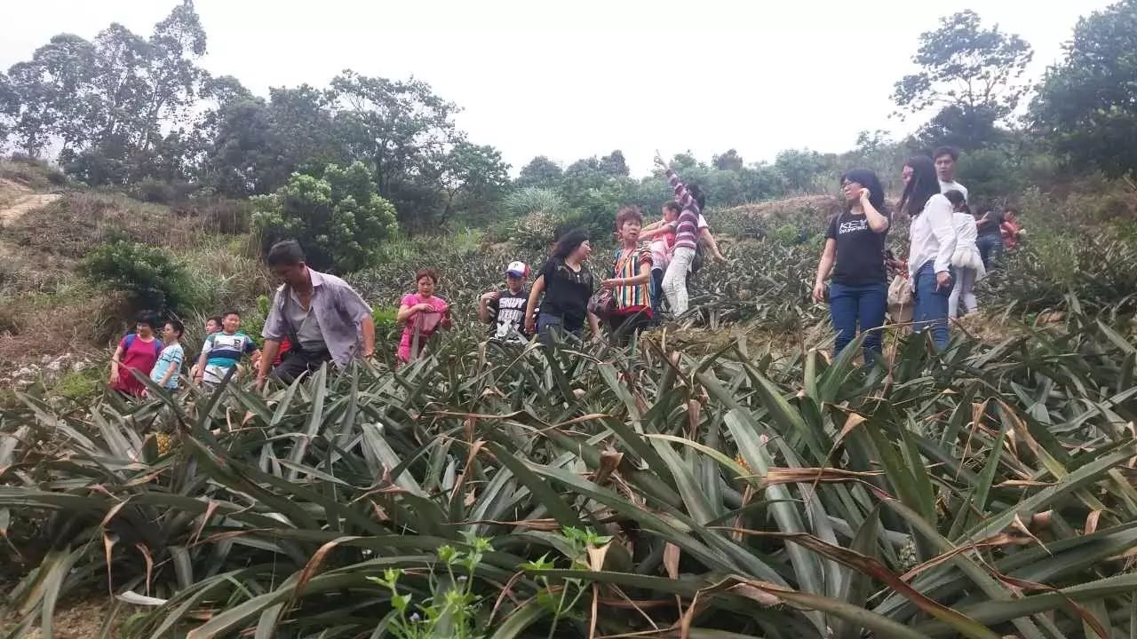 大菠萝导航_大菠萝导航_大菠萝导航