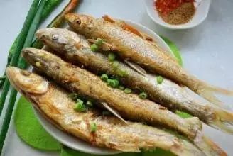 大菠萝导航_大菠萝导航_大菠萝导航