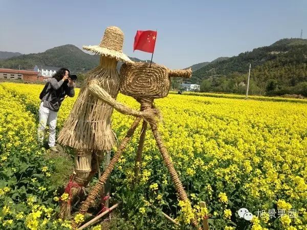大菠萝导航_大菠萝导航_大菠萝导航