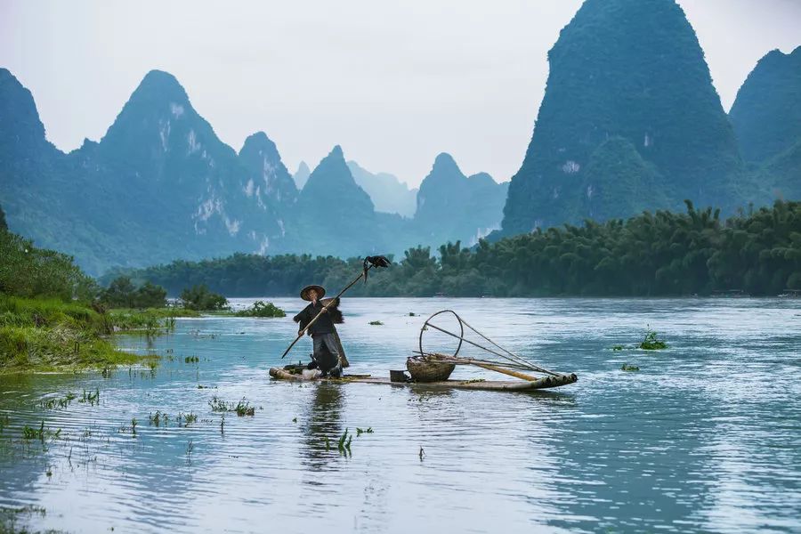 盘虬卧龙_盘虬_盘虬怎么读