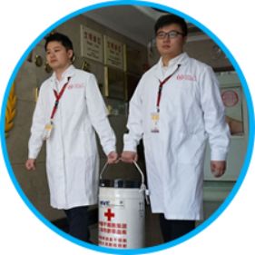 干细胞移植资质医院_干细胞移植国家叫停_国家批准干细胞移植的医院
