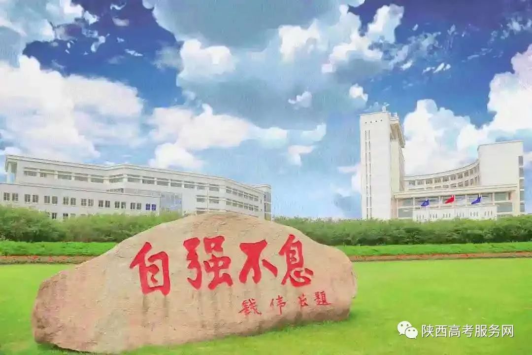 上海大学网上选课_上海大学选课系统_上海大学教务处选课