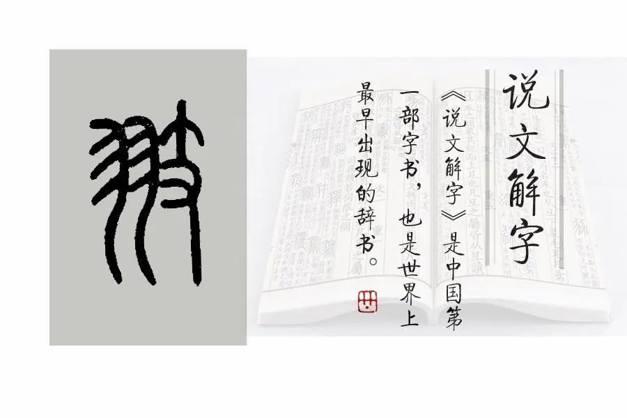 箎怎么读_箎怎么读_箎怎么读