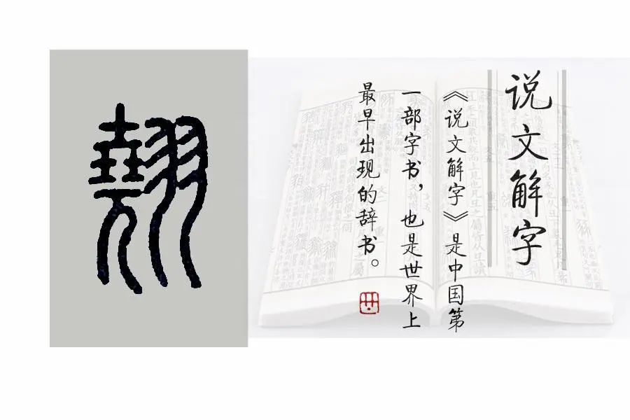 箎怎么读_箎怎么读_箎怎么读