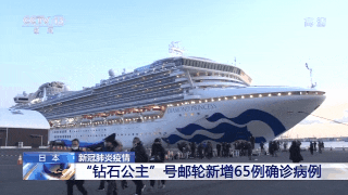 邮轮游多少钱_邮轮旅游多少钱_邮轮游购票