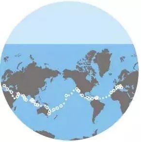 邮轮游多少钱_邮轮旅游坑爹_邮轮旅游多少钱