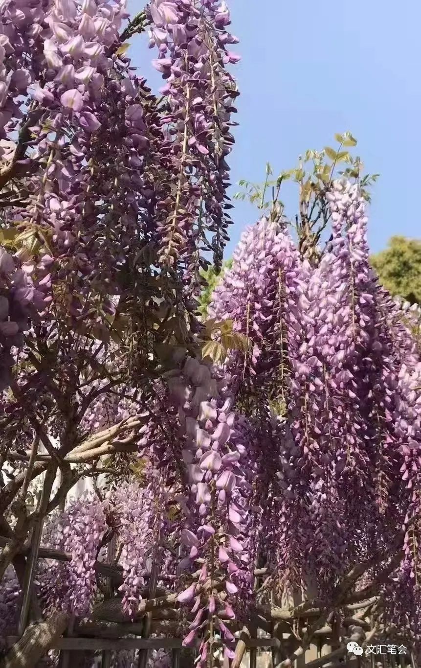 璎_璎_璎怎么读