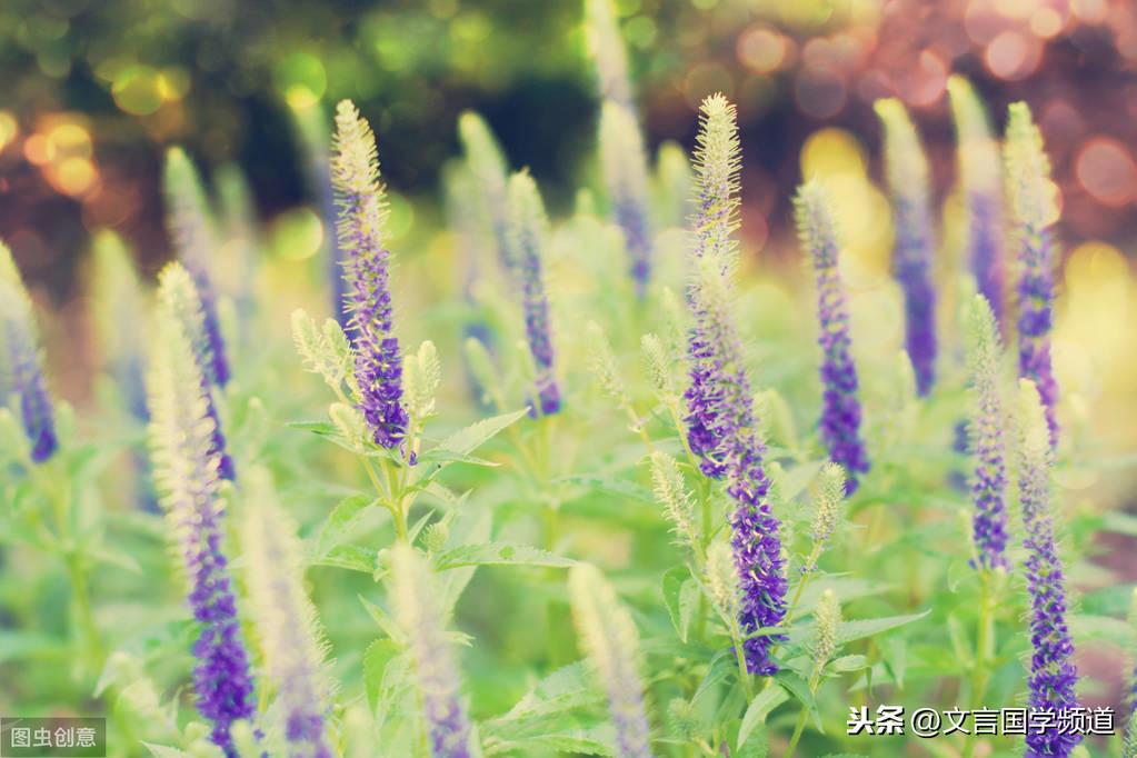 宝帘闲挂小银钩_宝帘闲挂小银钩在线阅读_宝帘闲挂小银钩巧眯网