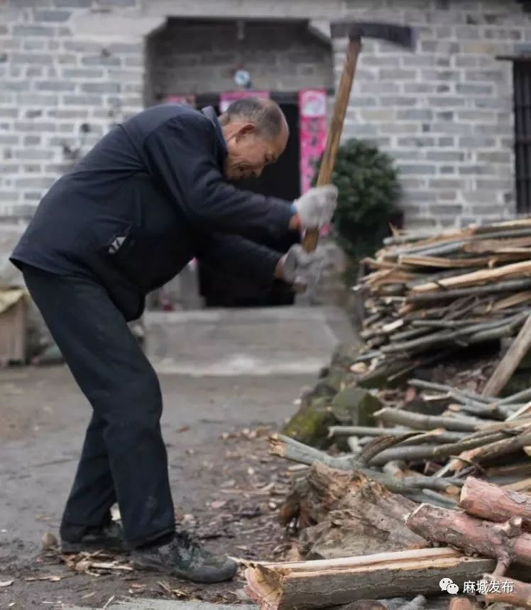 蔸怎么读_蔸怎么读_蔸怎么读