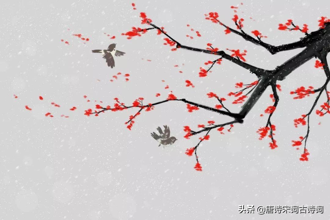 宝帘闲挂小银钩百度云盘_宝帘闲挂小银钩在线阅读_宝帘闲挂小银钩