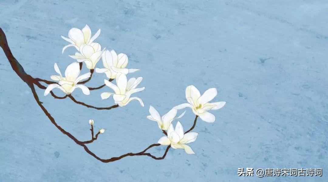 宝帘闲挂小银钩在线阅读_宝帘闲挂小银钩_宝帘闲挂小银钩百度云盘