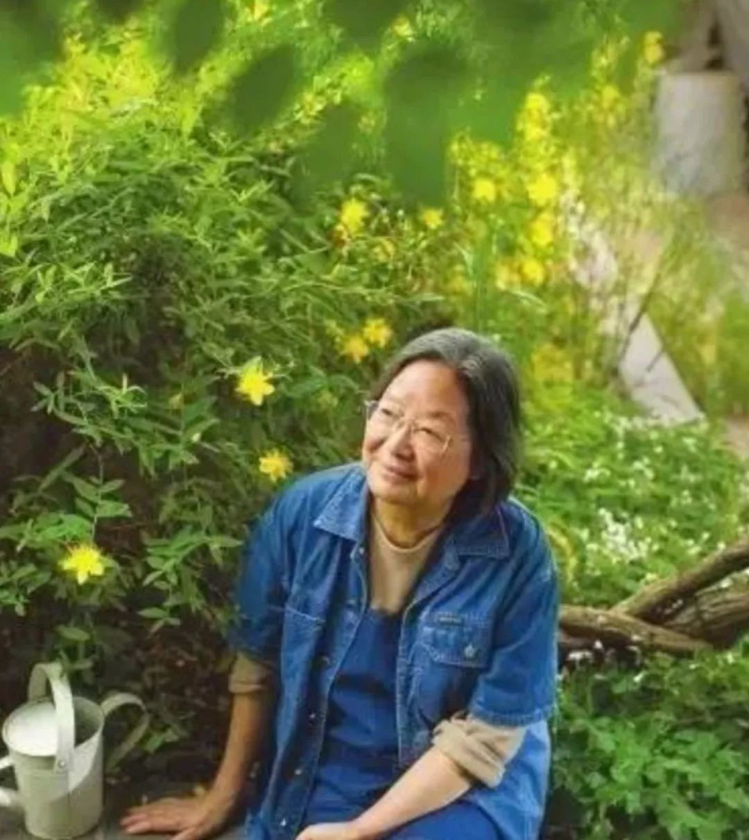 蔸怎么读_蔸怎么读_蔸怎么读