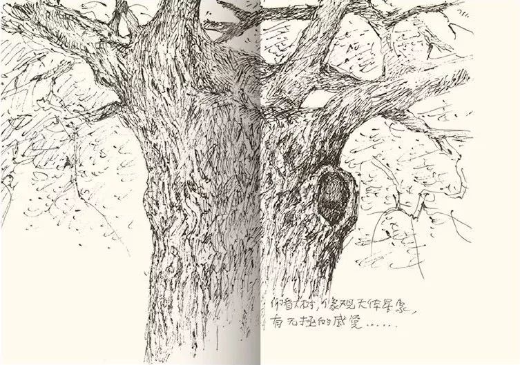 蔸怎么读_蔸怎么读_蔸怎么读