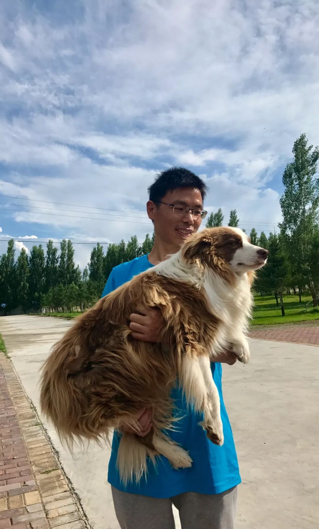 蔸怎么读_蔸怎么读_蔸怎么读