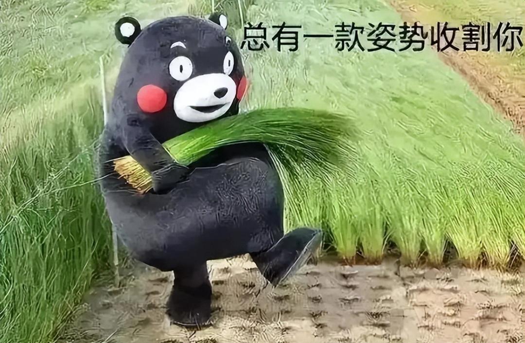 中华气功论坛巅_气功巅峰网_气功之巅