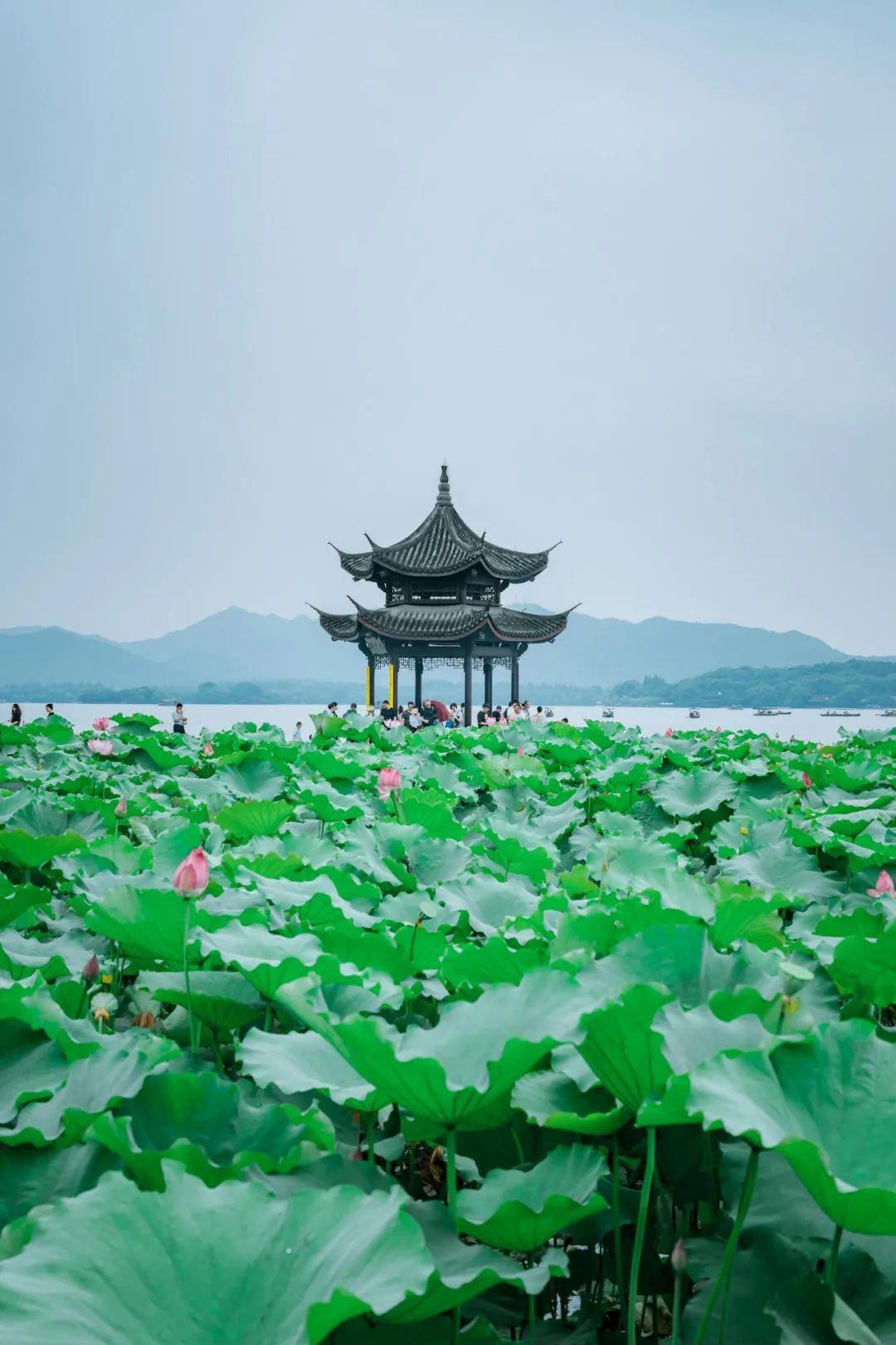 繁华钱塘春日江南_繁华钱塘餐馆_钱塘自古繁华