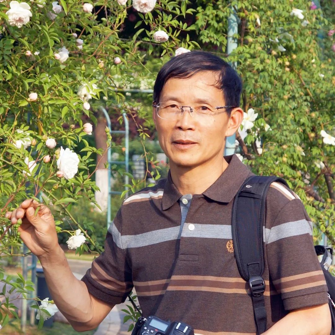 杨万里的诗_杨万里诗画小镇简介_杨万里诗风