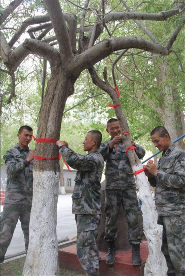 西陲安宁_西陲_西陲第一哨