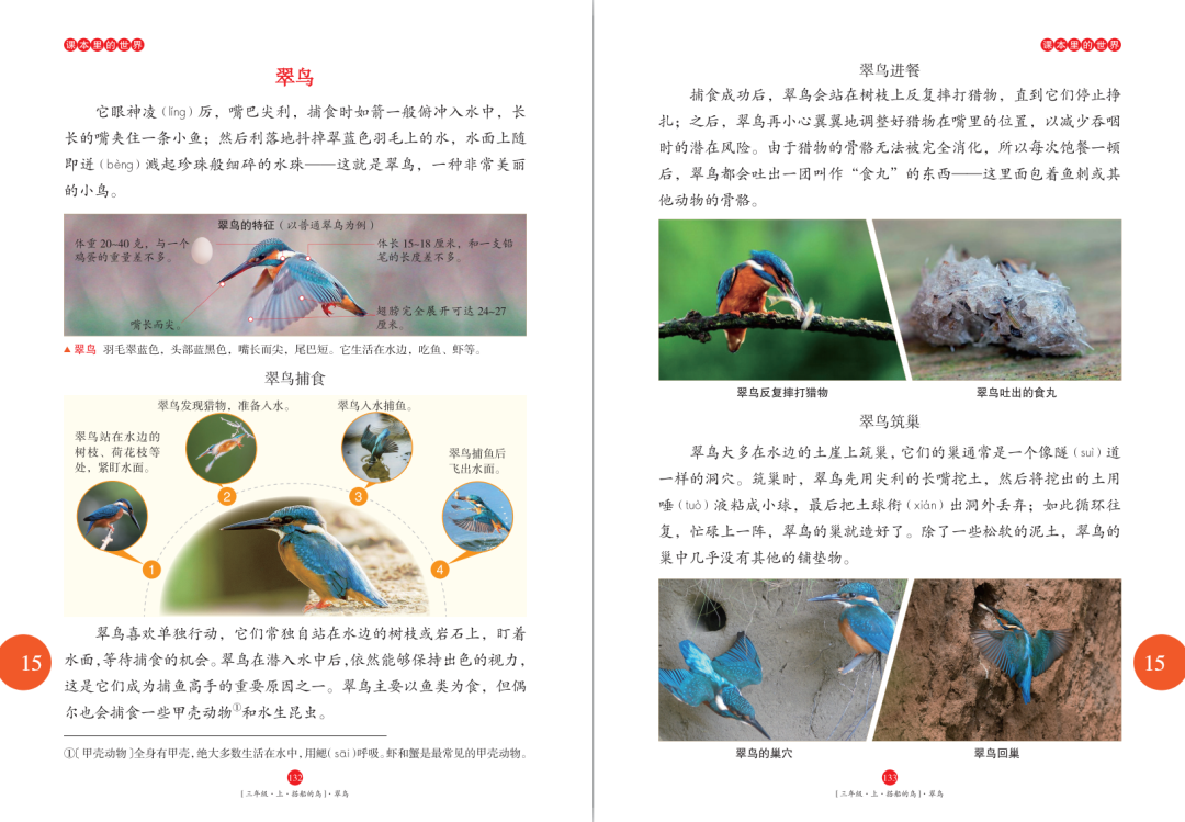 醉组词_催组词_催组词二年级上册语文