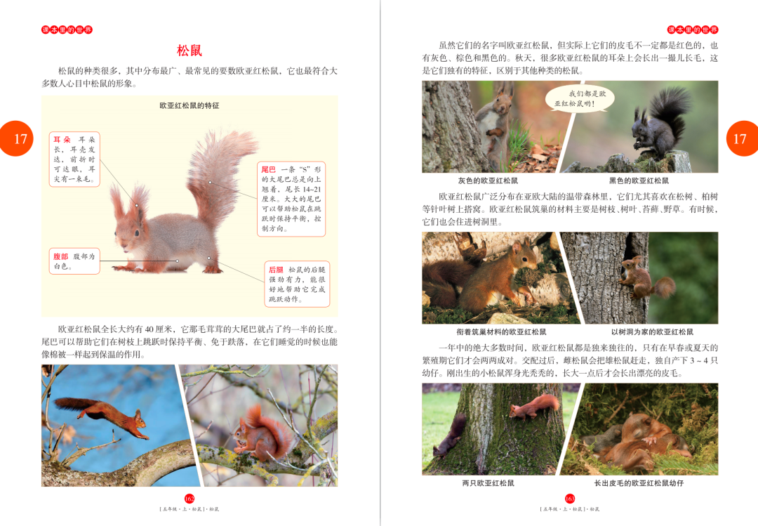催组词_催组词二年级上册语文_醉组词