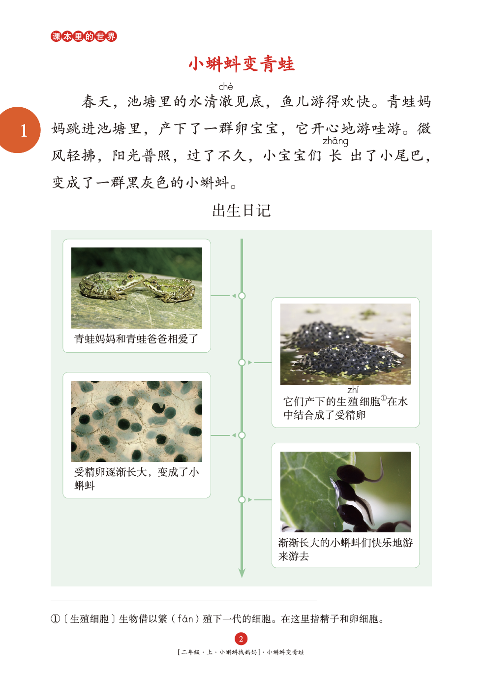 催组词二年级上册语文_醉组词_催组词