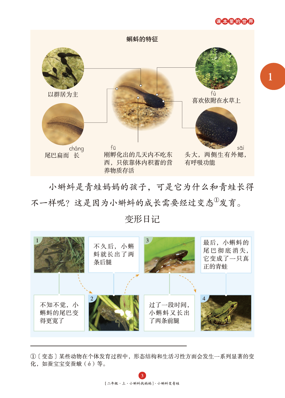 催组词_催组词二年级上册语文_醉组词