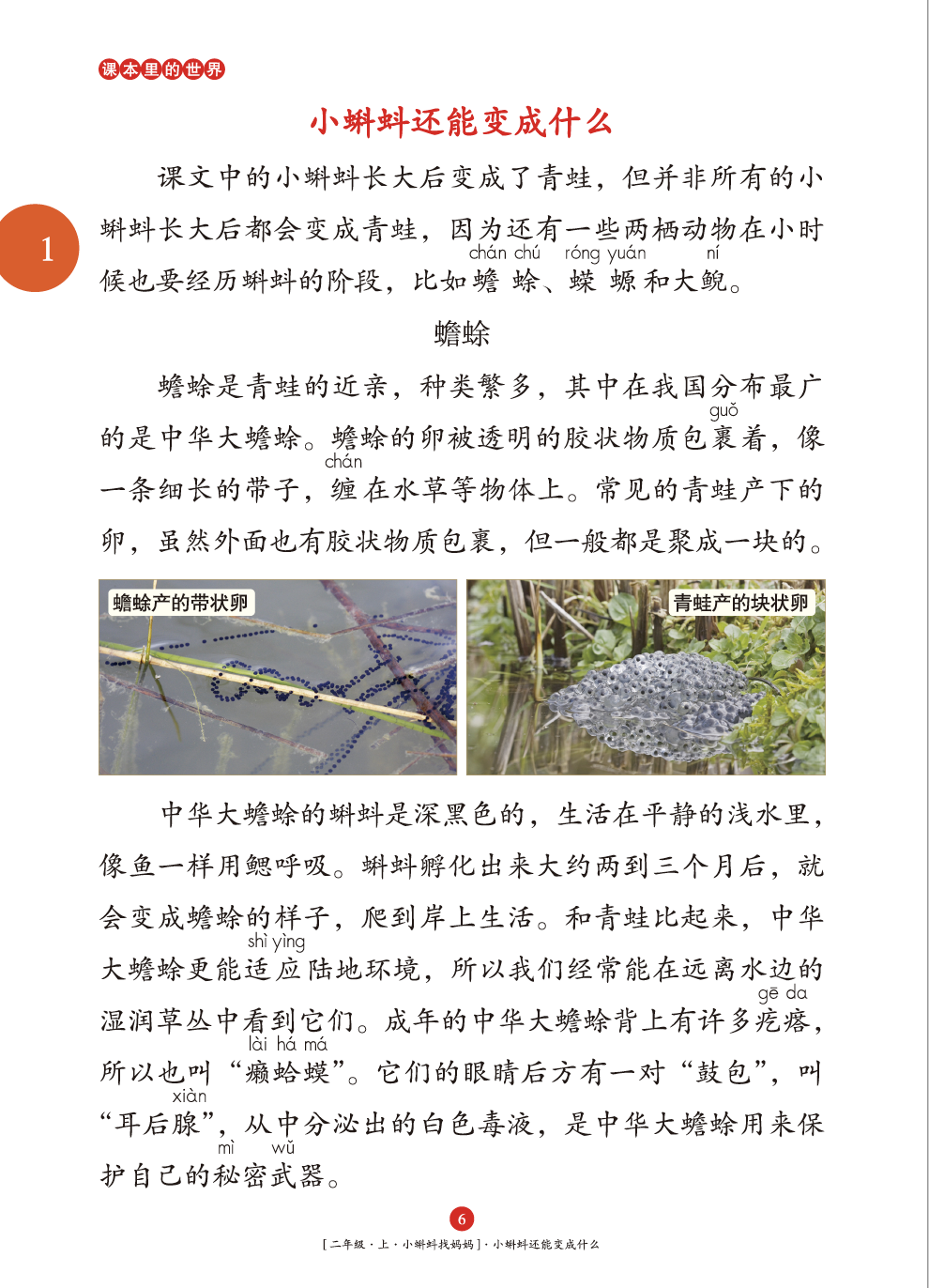 催组词二年级上册语文_醉组词_催组词