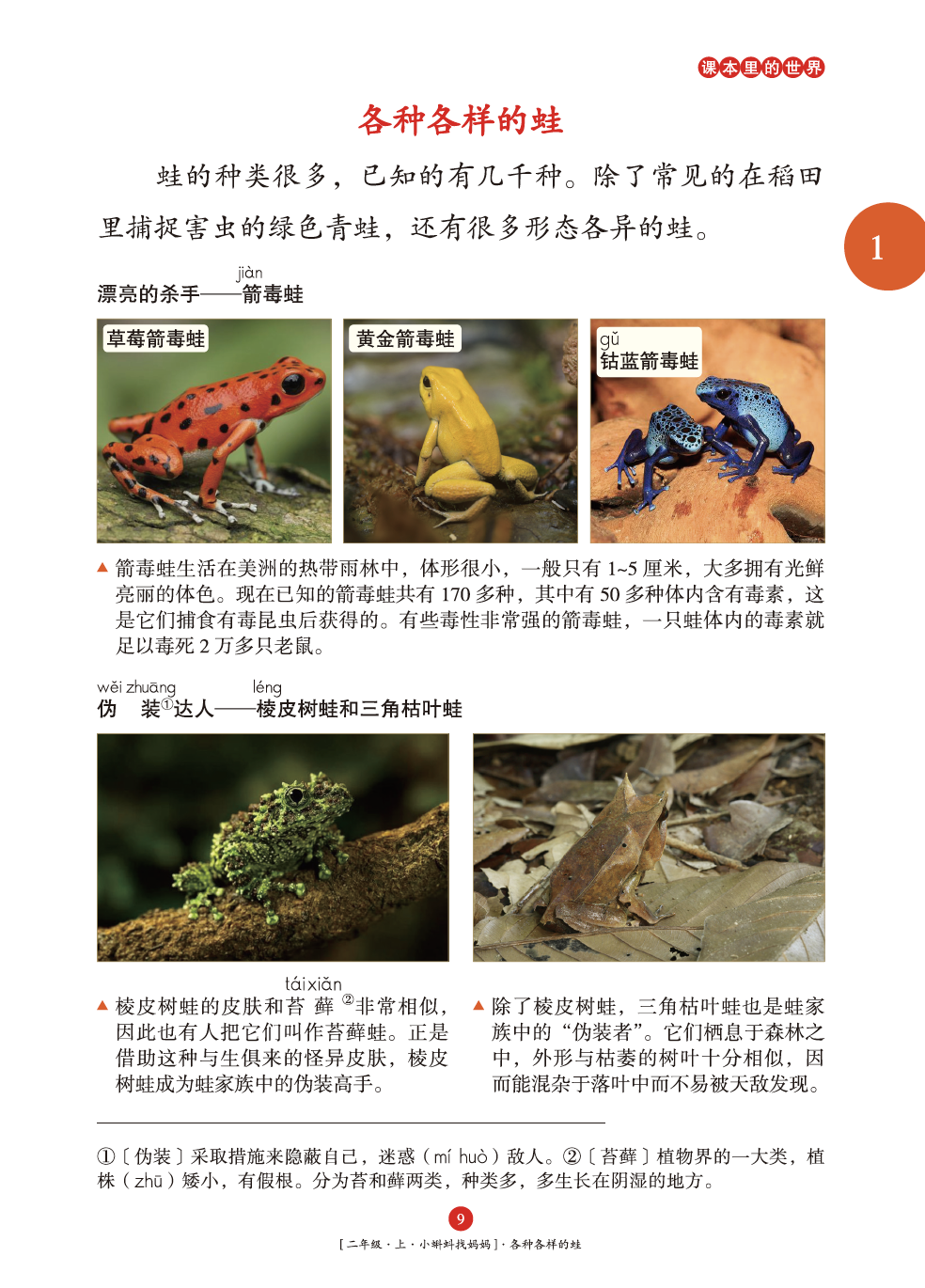 醉组词_催组词_催组词二年级上册语文