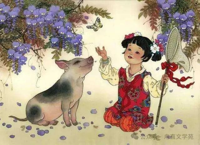 猪属今年几岁_猪属今年多少岁_属猪的今年几岁