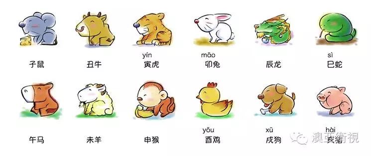 王字五行属性查询_王字五行属什么_王字五行
