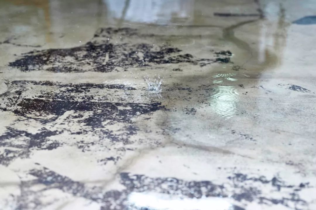 两江游览游船是哪两江_两江游_两江游览时间表