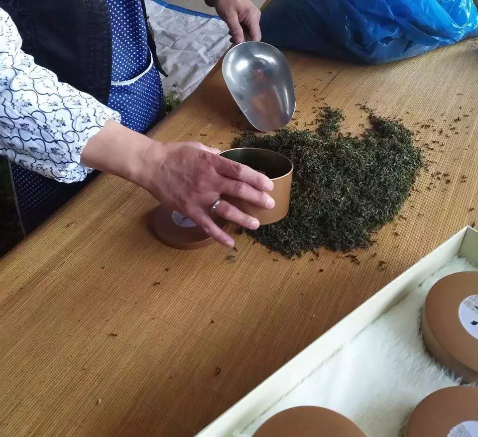 叶酸枣芽茶_叶酸枣蜂蜜作用与功效_酸枣叶