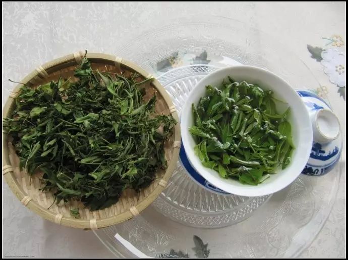 酸枣叶_叶酸枣芽茶_叶酸枣蜂蜜作用与功效