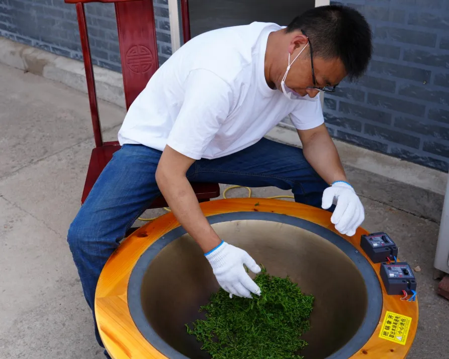 叶酸枣的功效_叶酸枣蜂蜜作用与功效_酸枣叶
