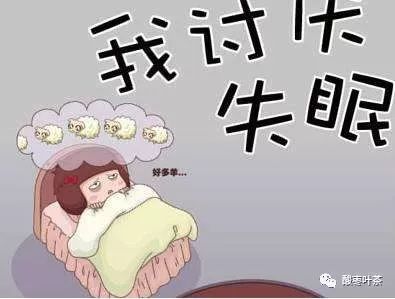 叶酸枣手串_叶酸枣芽茶_酸枣叶