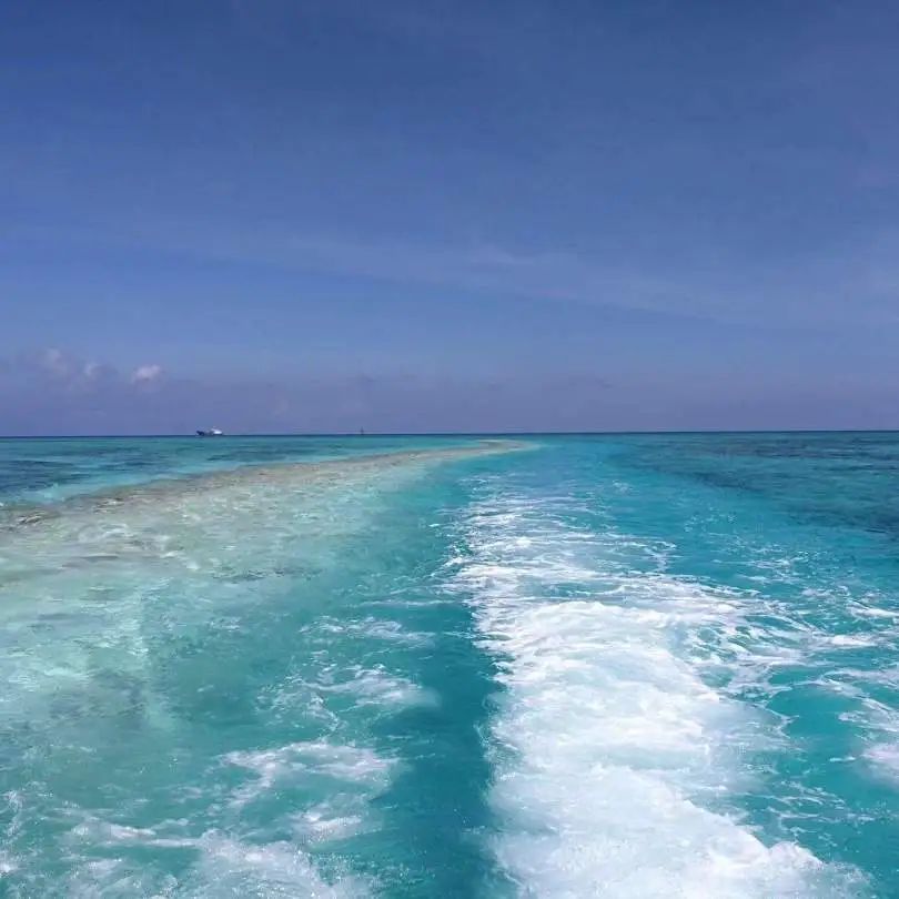 蠡测管窥_蠡测_蠡测读音