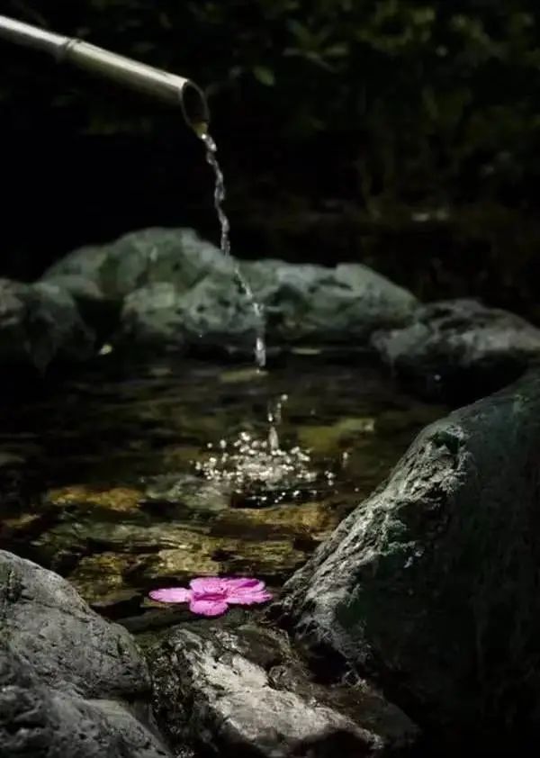 蠡测管窥_蠡测读音_蠡测