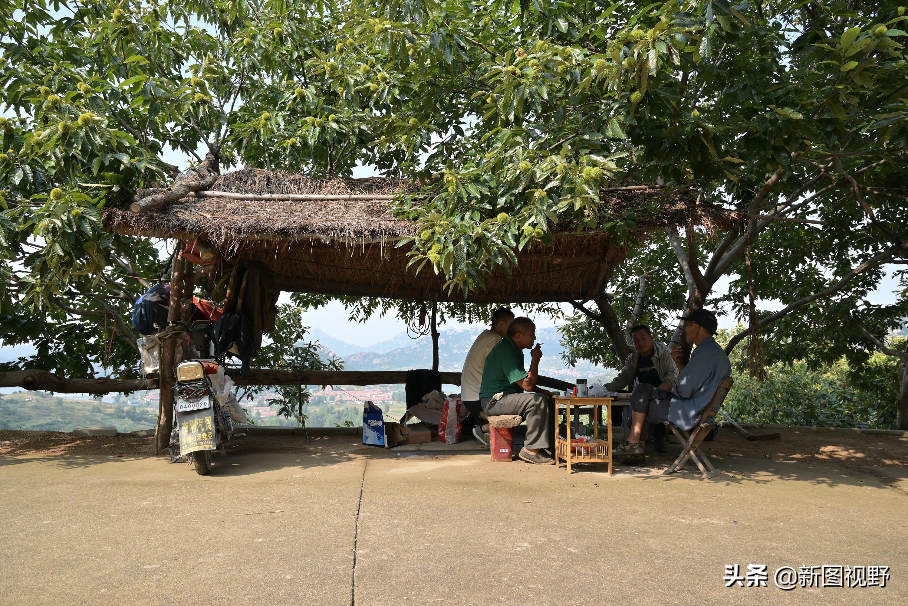 上山喝茶全国门店_上山喝茶_上山喝茶的文案