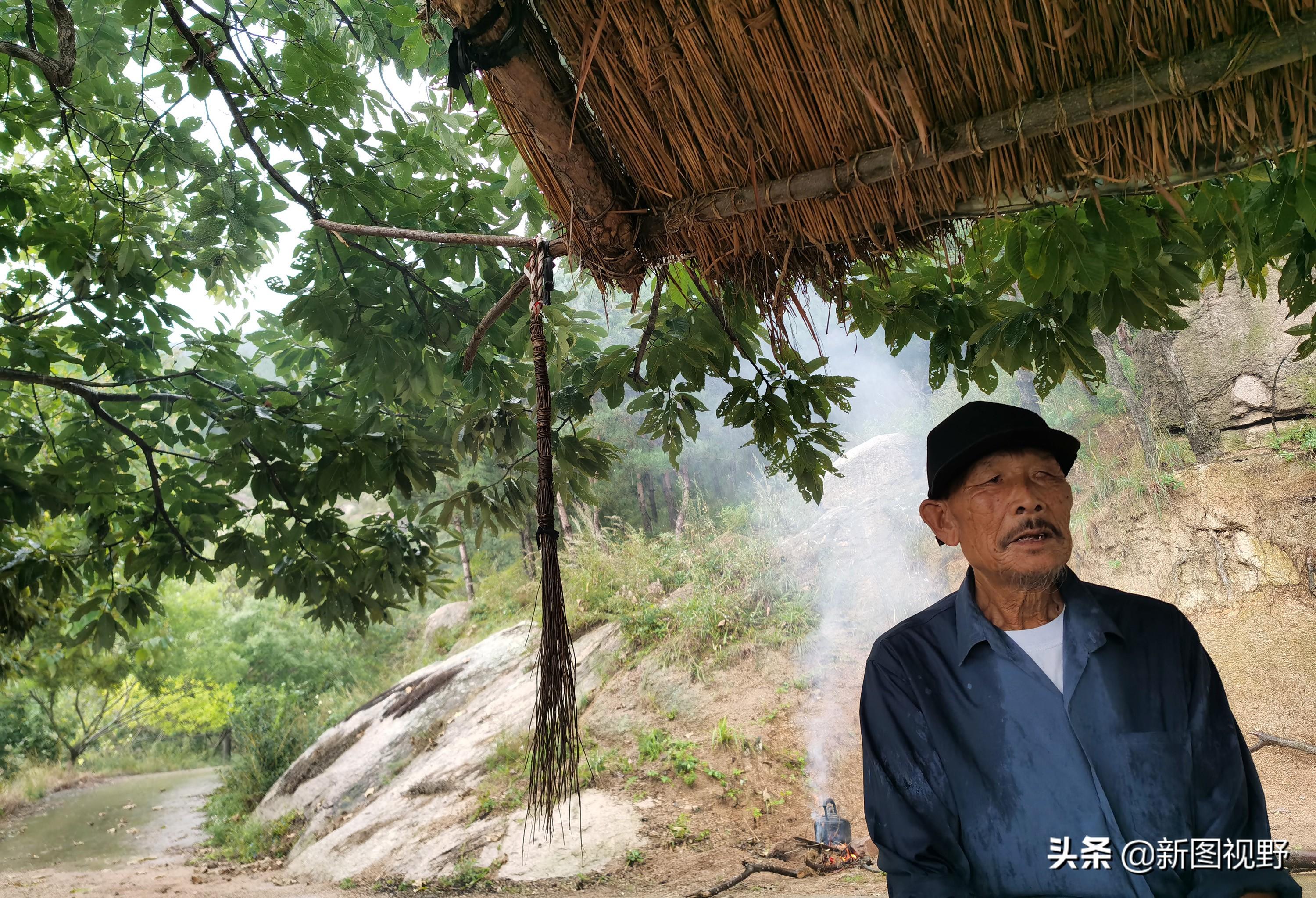 上山喝茶的文案_上山喝茶全国门店_上山喝茶