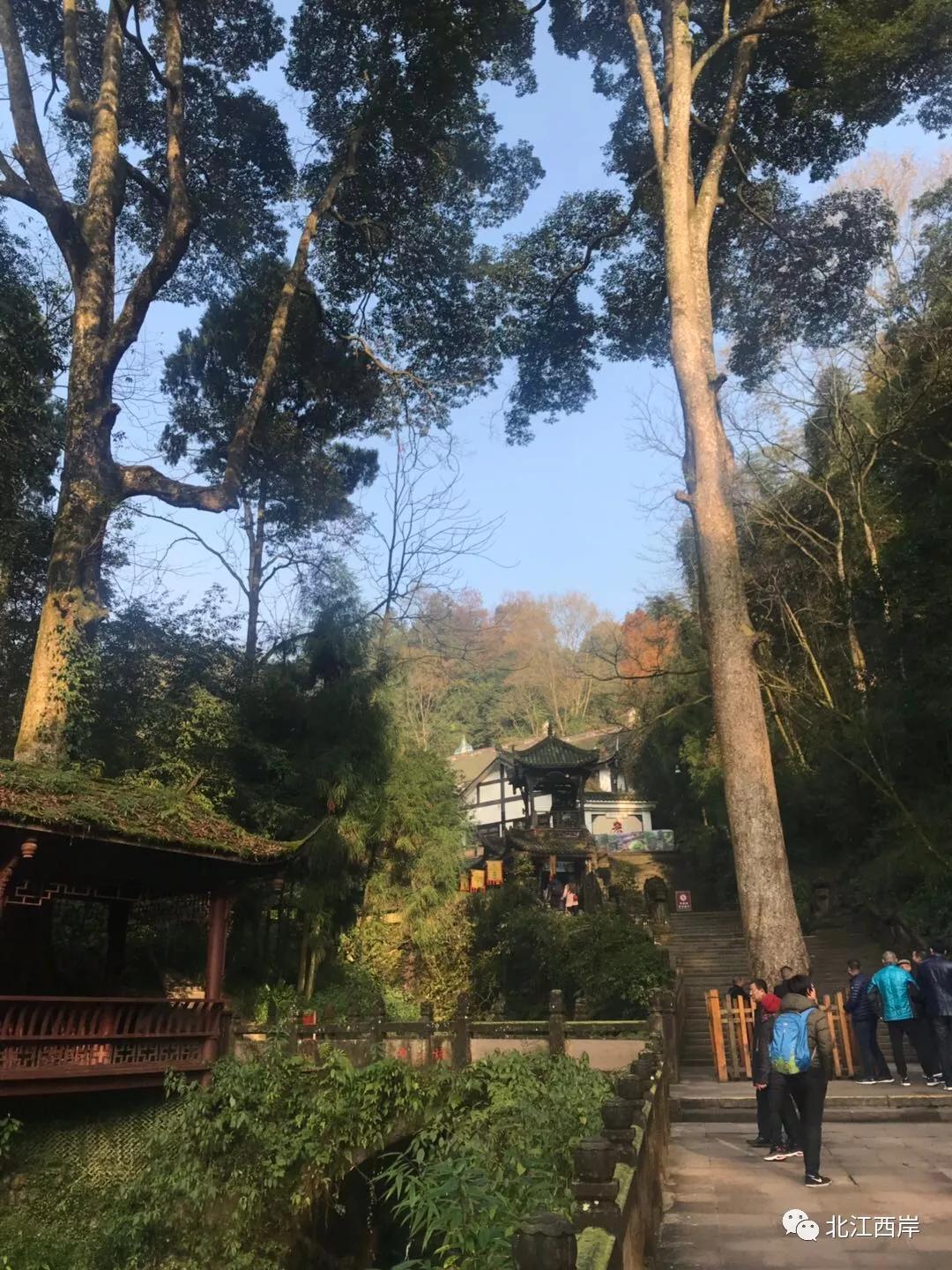上山喝茶_上山喝茶加盟_上山喝茶品牌简介